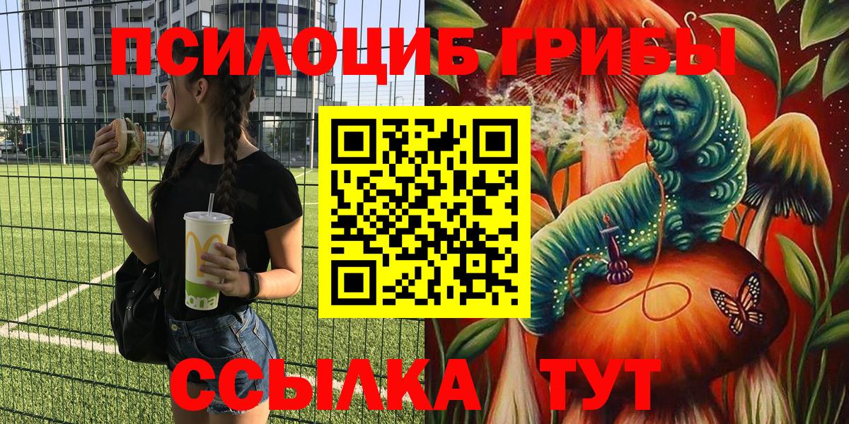 Галлюциногенные грибы MAGIC MUSHROOMS  Псилоцибиновые грибы ЛСД  Вход с VPN  Тамбов 